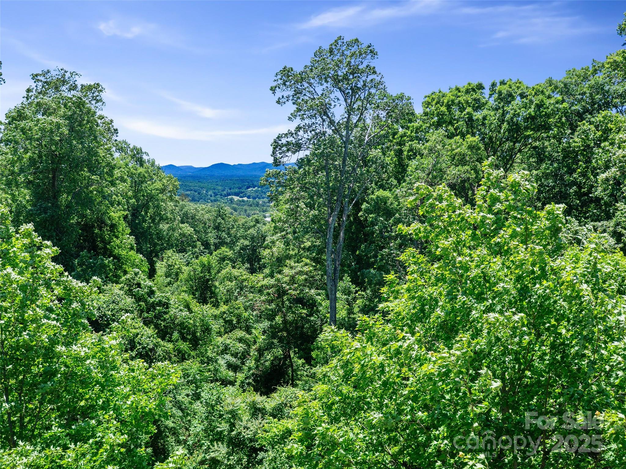 Beaucatcher Heights - Residential