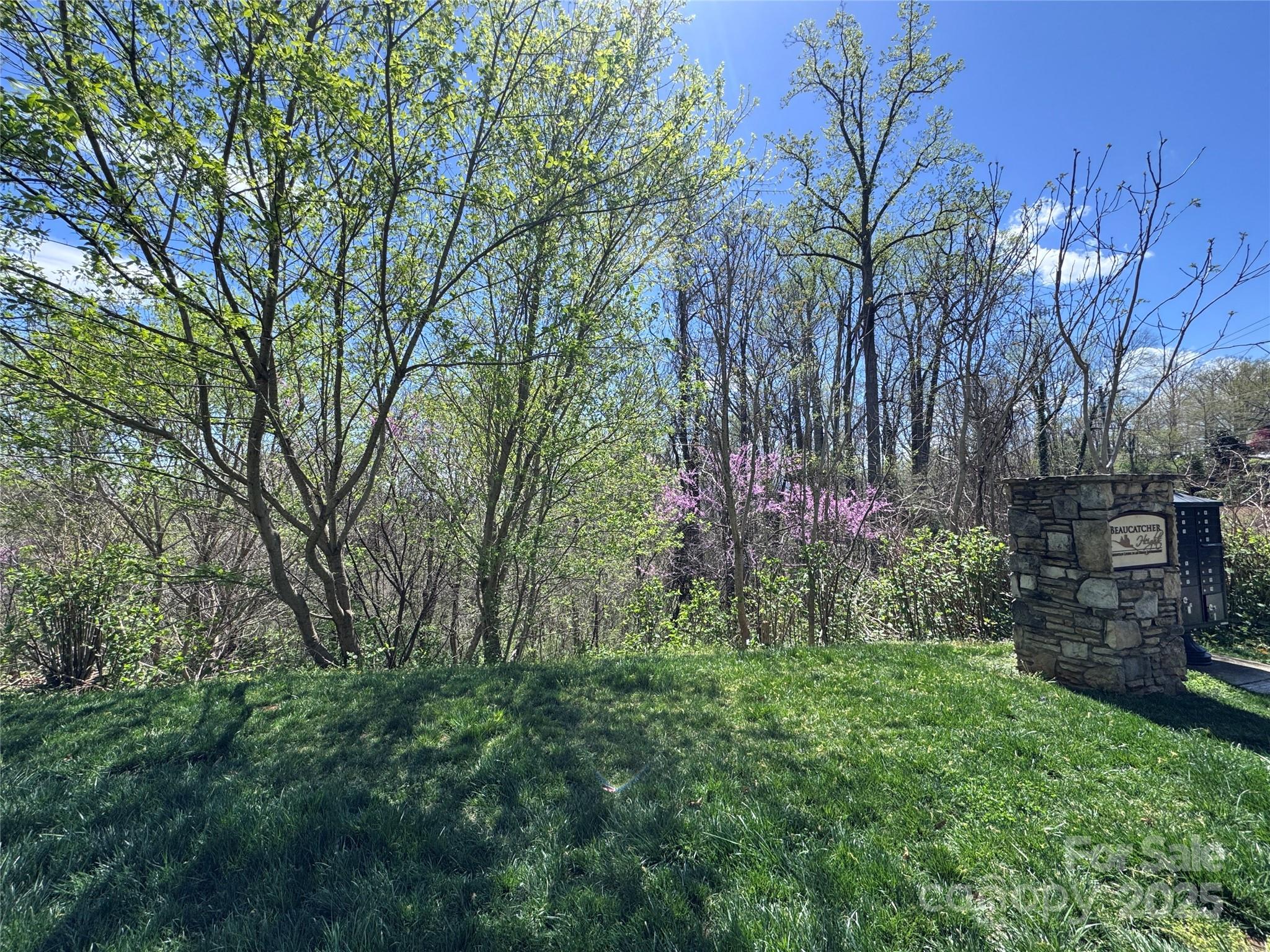 Beaucatcher Heights - Residential