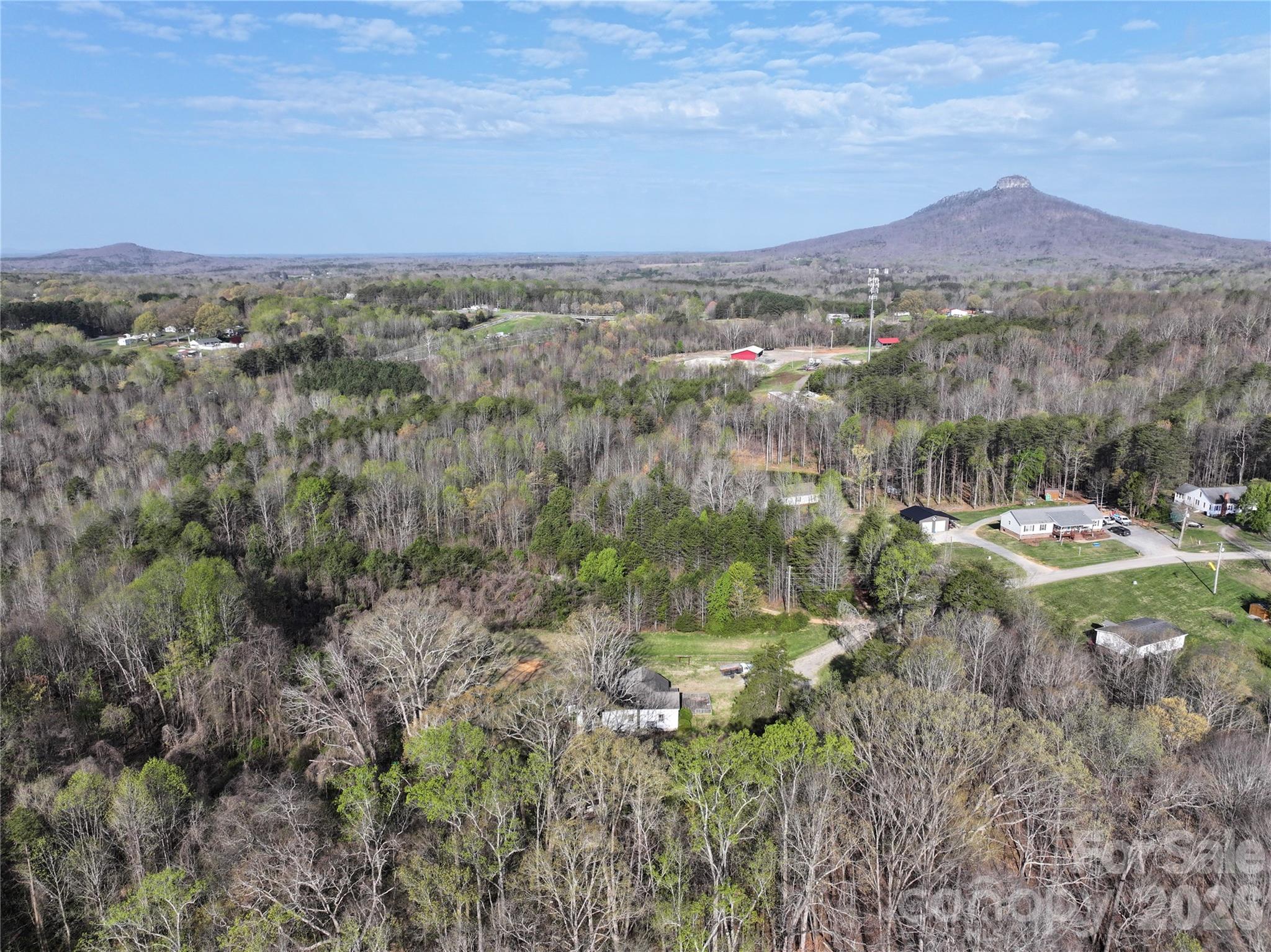 1164 Robert C Kellam Road, Pinnacle, NC, 27043