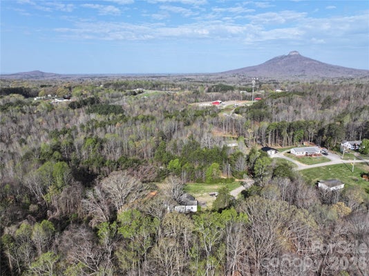 1164 ROBERT C KELLAM RD, PINNACLE, NC 27043 - Image 87e2ec47dfed9107547167a20f8edb9f/155688980