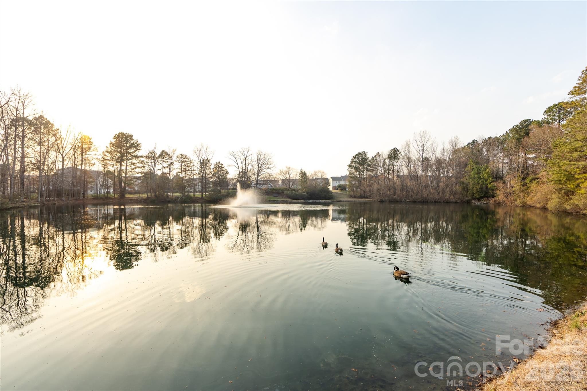 Mallard Lake - Residential