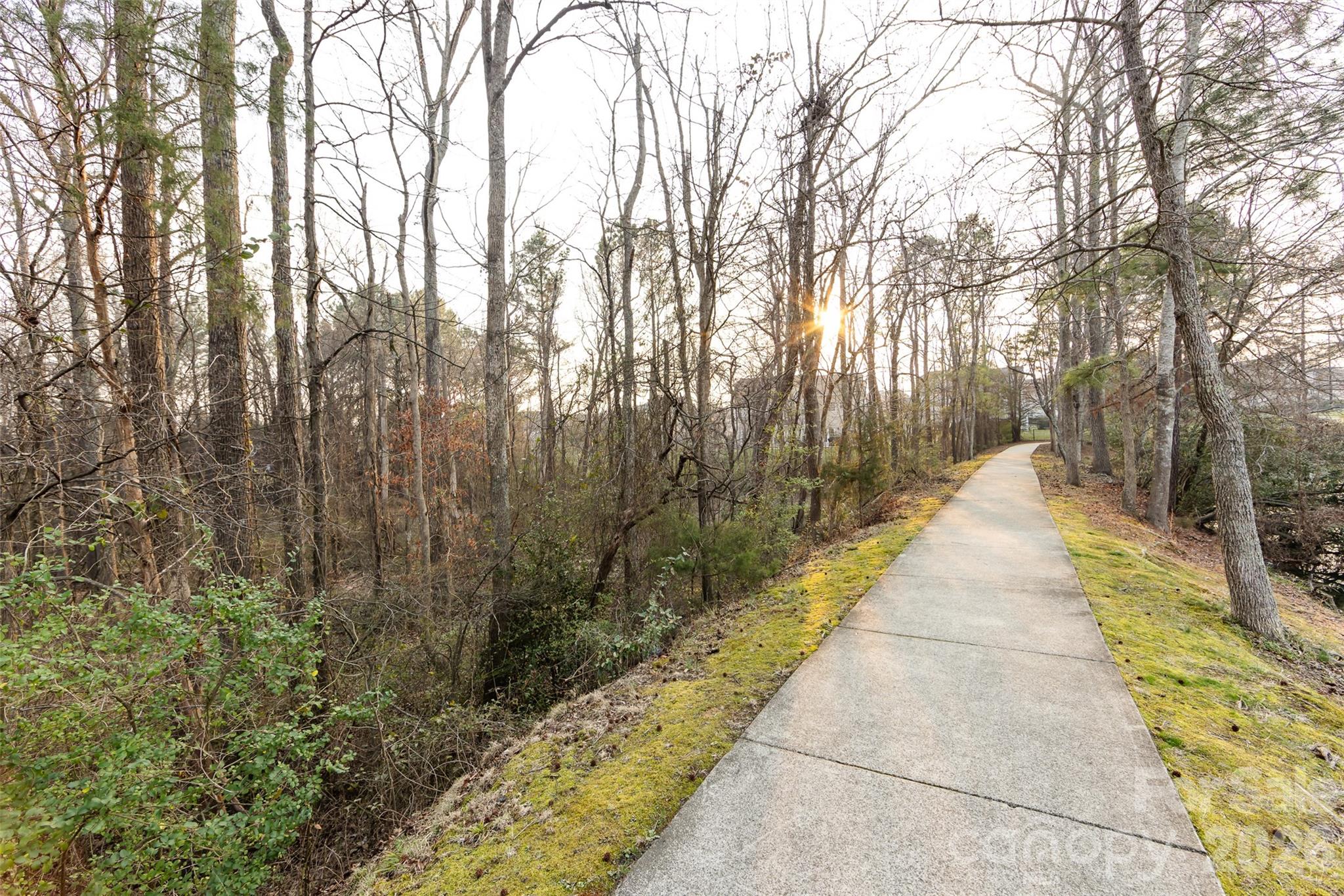 Mallard Lake - Residential