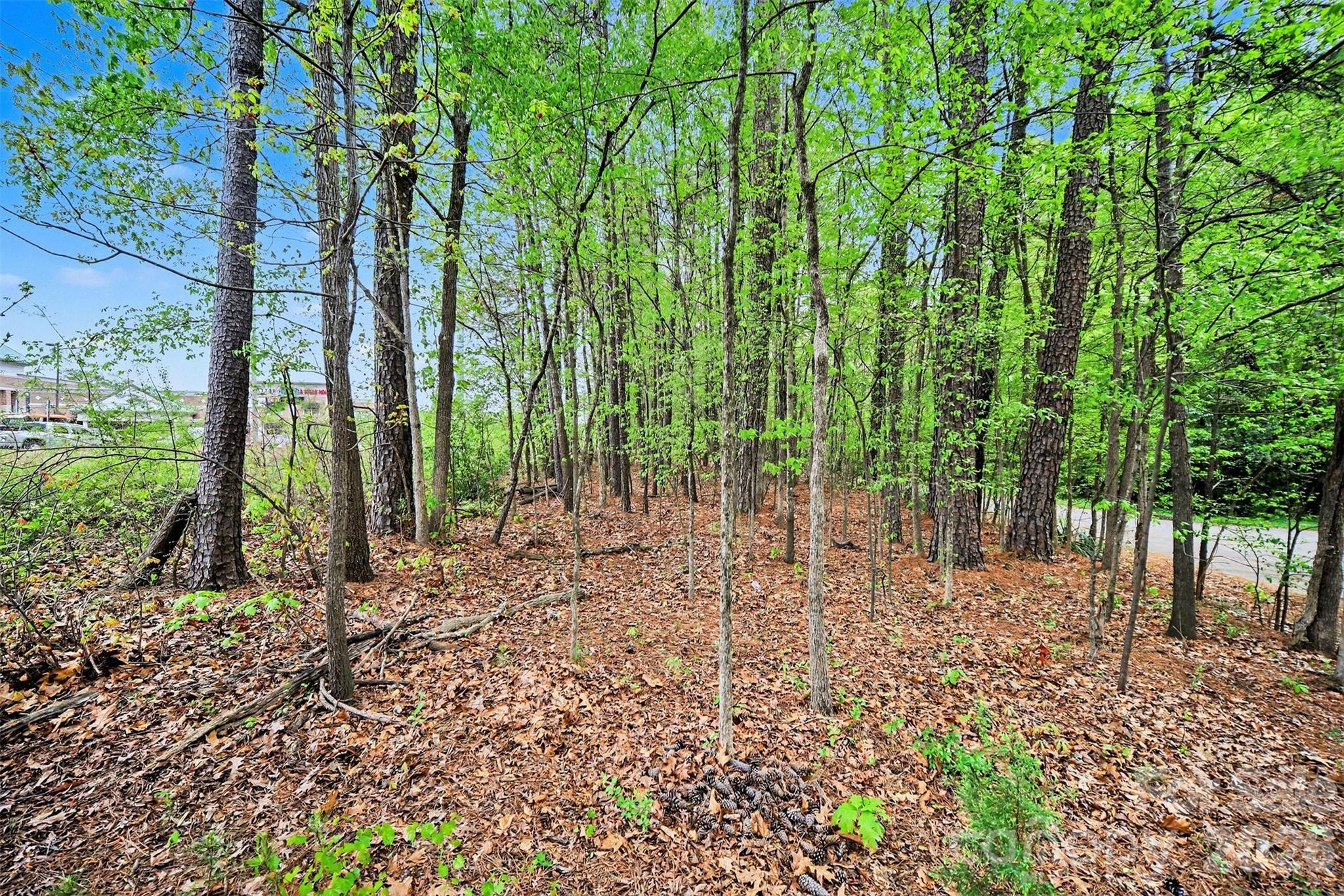 Leewood Acres - Commercial Sale