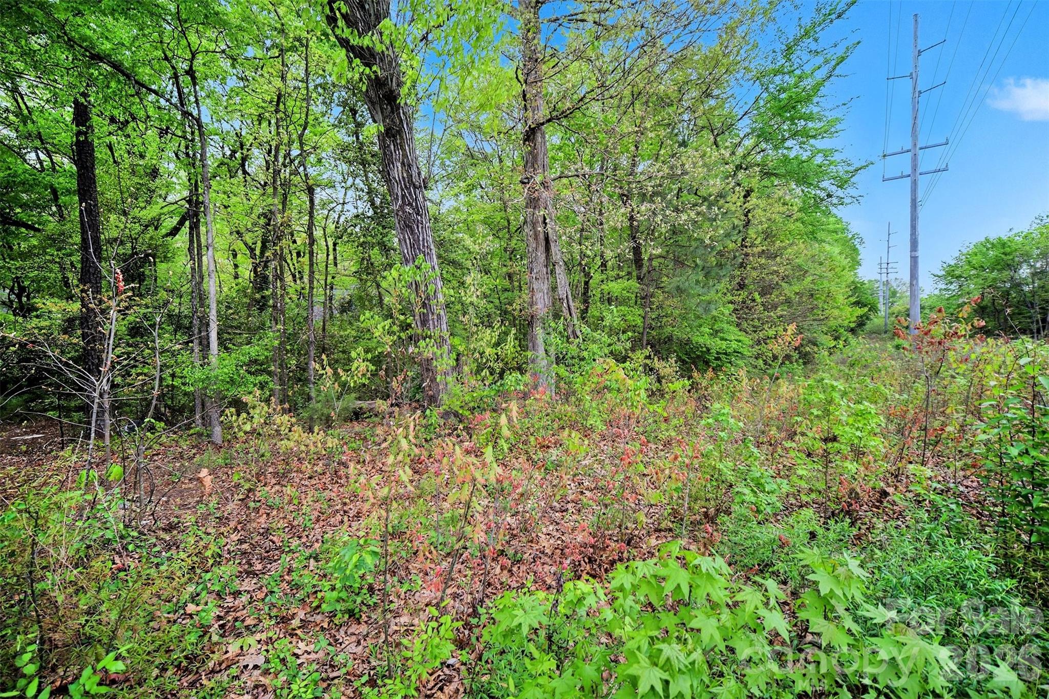 Leewood Acres - Commercial Sale