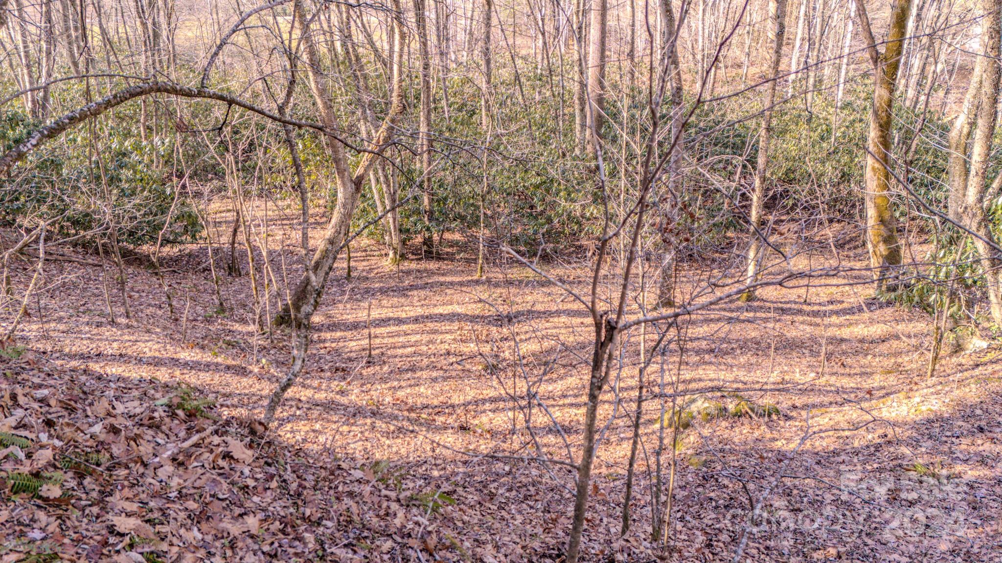 00 Culvin Creek Road