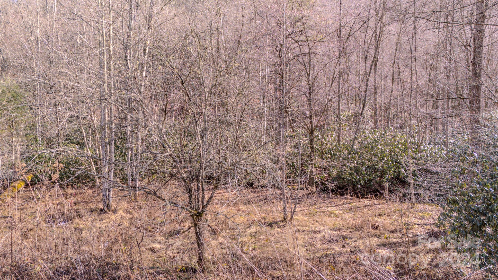 00 Culvin Creek Road