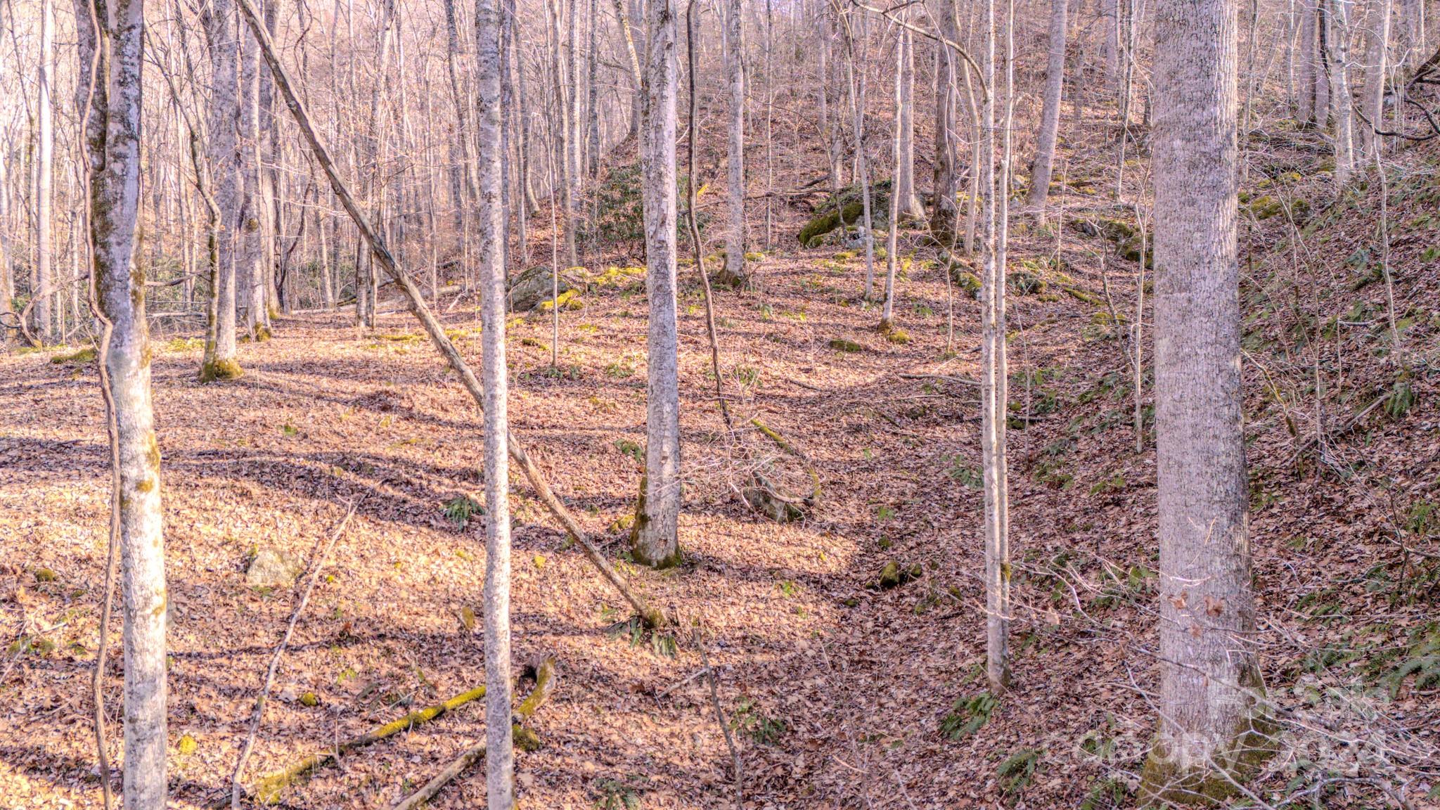 00 Culvin Creek Road