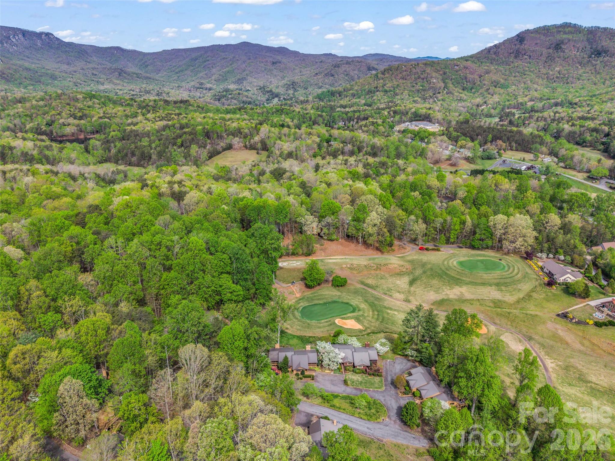 Rumbling Bald on Lake Lure - Residential
