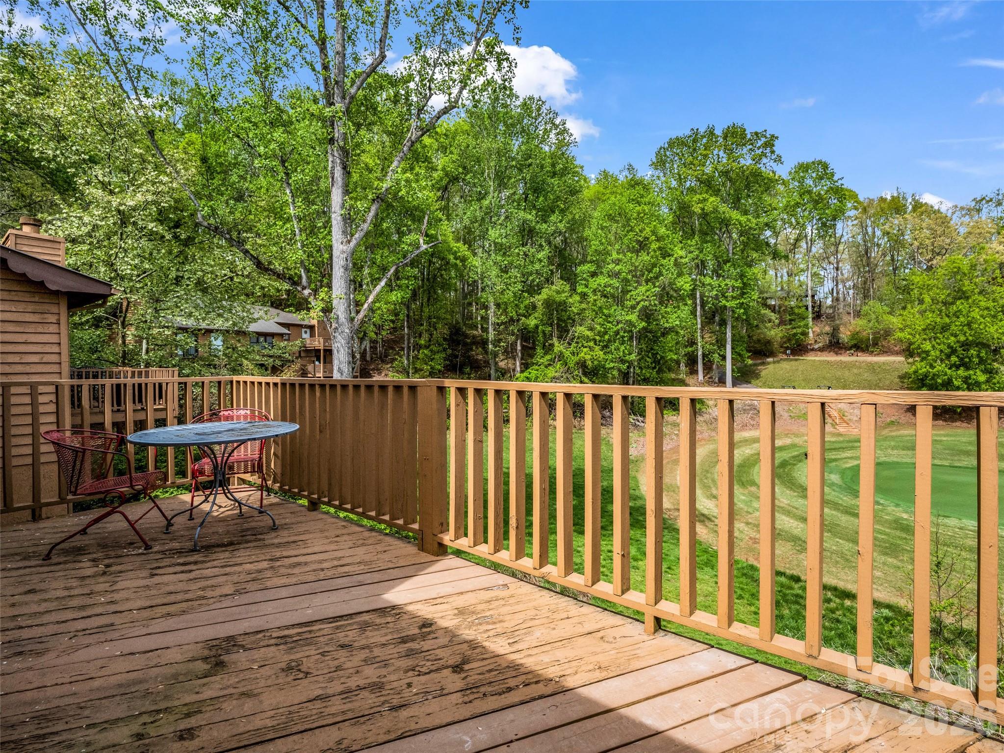 Rumbling Bald on Lake Lure - Residential
