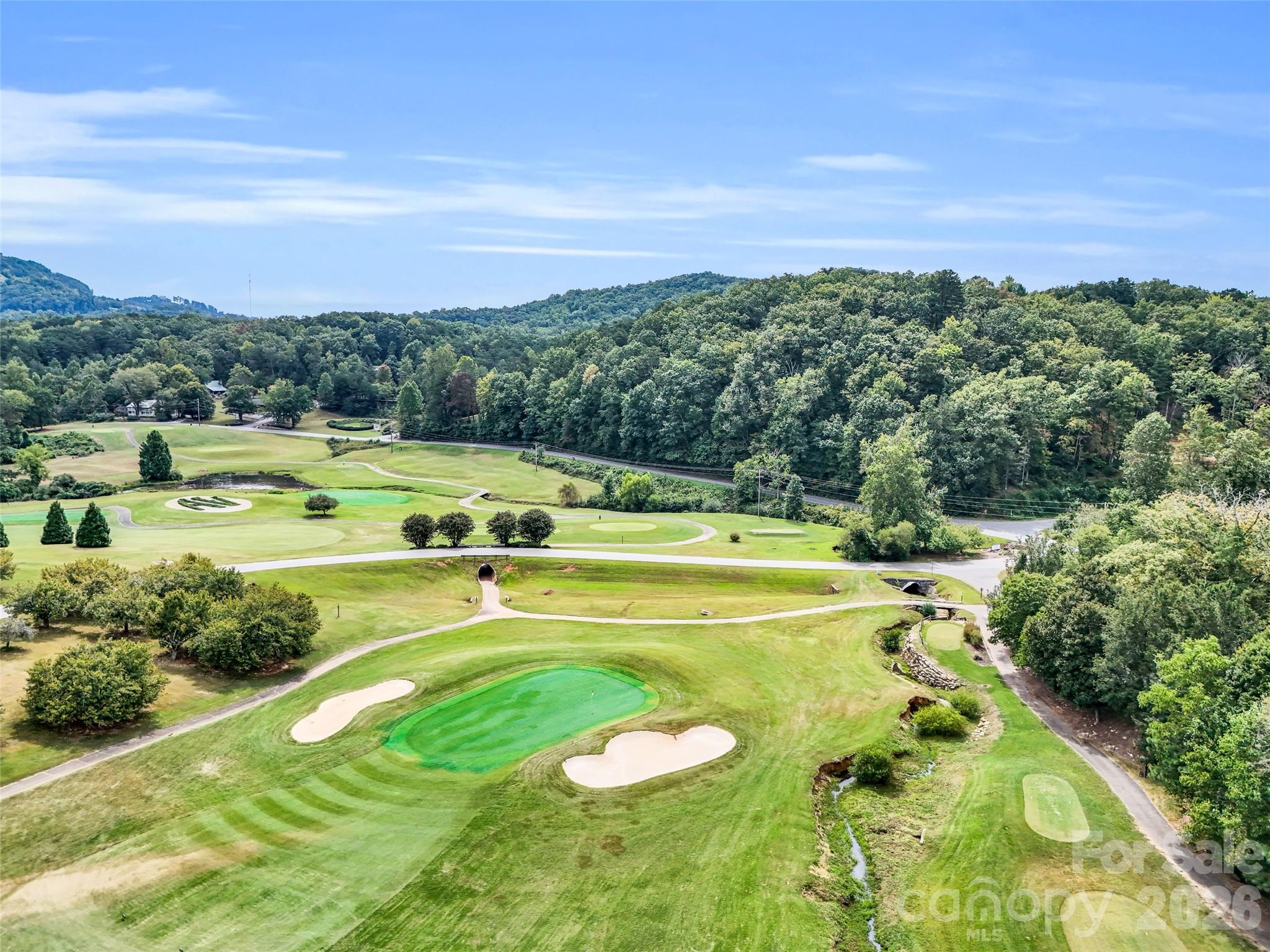 Rumbling Bald on Lake Lure - Residential