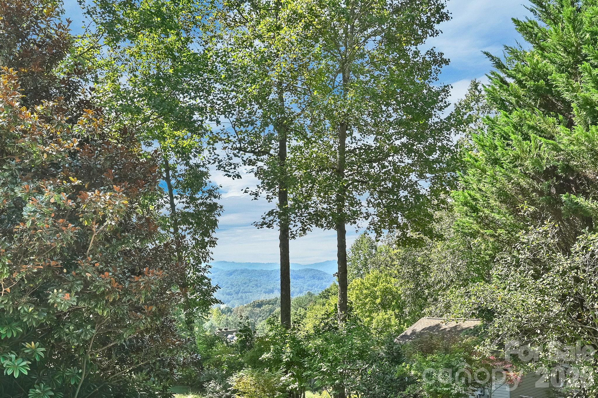 4311 Cove Loop Road