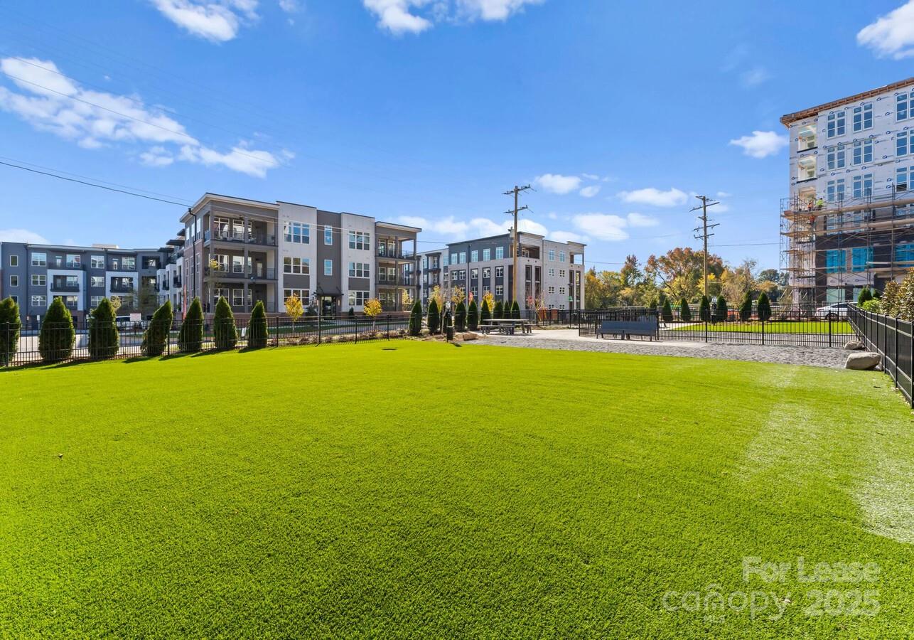 Charlotte, North Carolina 28209, United States, 1 Bedroom Bedrooms, ,1 BathroomBathrooms,Residential,Active,53851