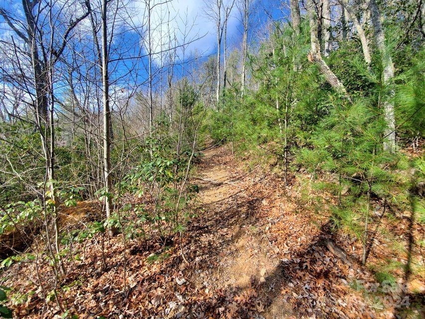 Lewis Jarrett - Land