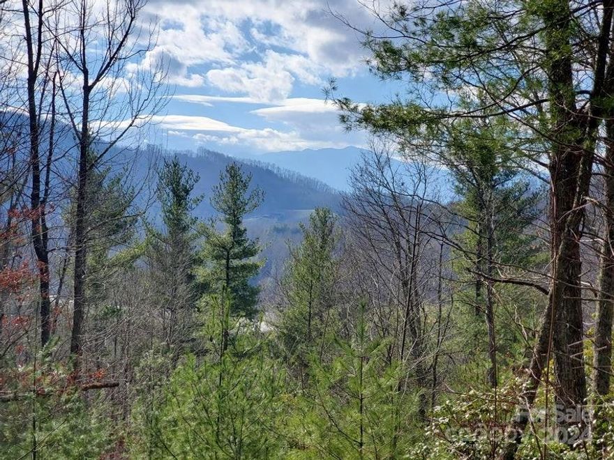 Mountain lot containing .70 of an acre with good views of Mt. Celo and other area mountain ranges, High Elevations, some roads. Could have total privacy while still enjoying convenience to area activities. Close to the Appalachian Trail, kayaking, trout fishing, minutes to local Ski Resorts and more. Other building sites available, different sizes and prices.