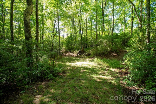 ADDRESS PRIVATE, EASTATOE, NC  - Image 880ae7a5b67d3e3ecb596302bb76a244/2560061535