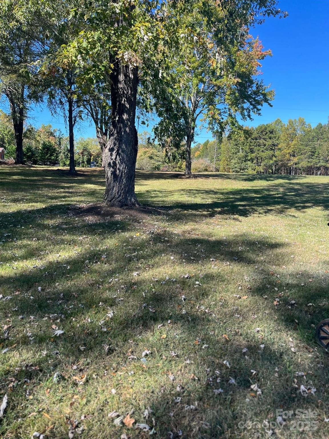 Dover Heights - Residential