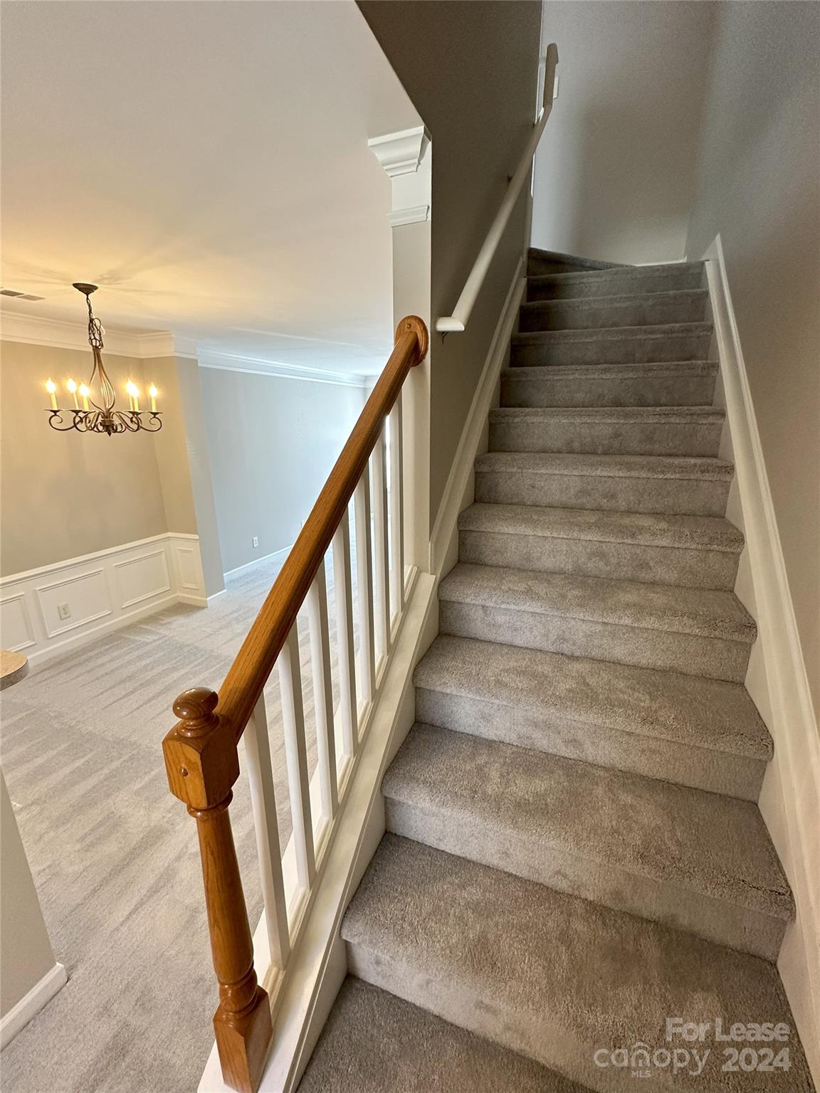 Morrison Plantation - Residential Lease