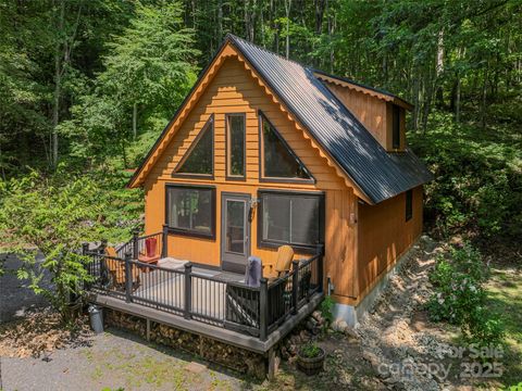 160 Tracy Place Clyde NC 28721