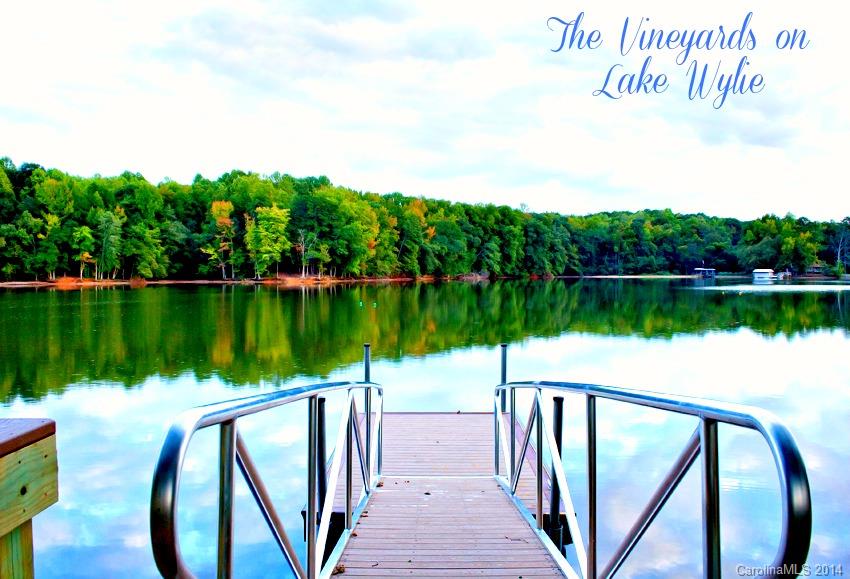 The Vineyards on Lake Wylie - Residential