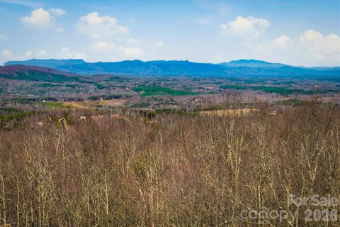 Photo of 149 Mossy Oak Trail #166/167, Nebo, NC 28761 (MLS # 4337859)