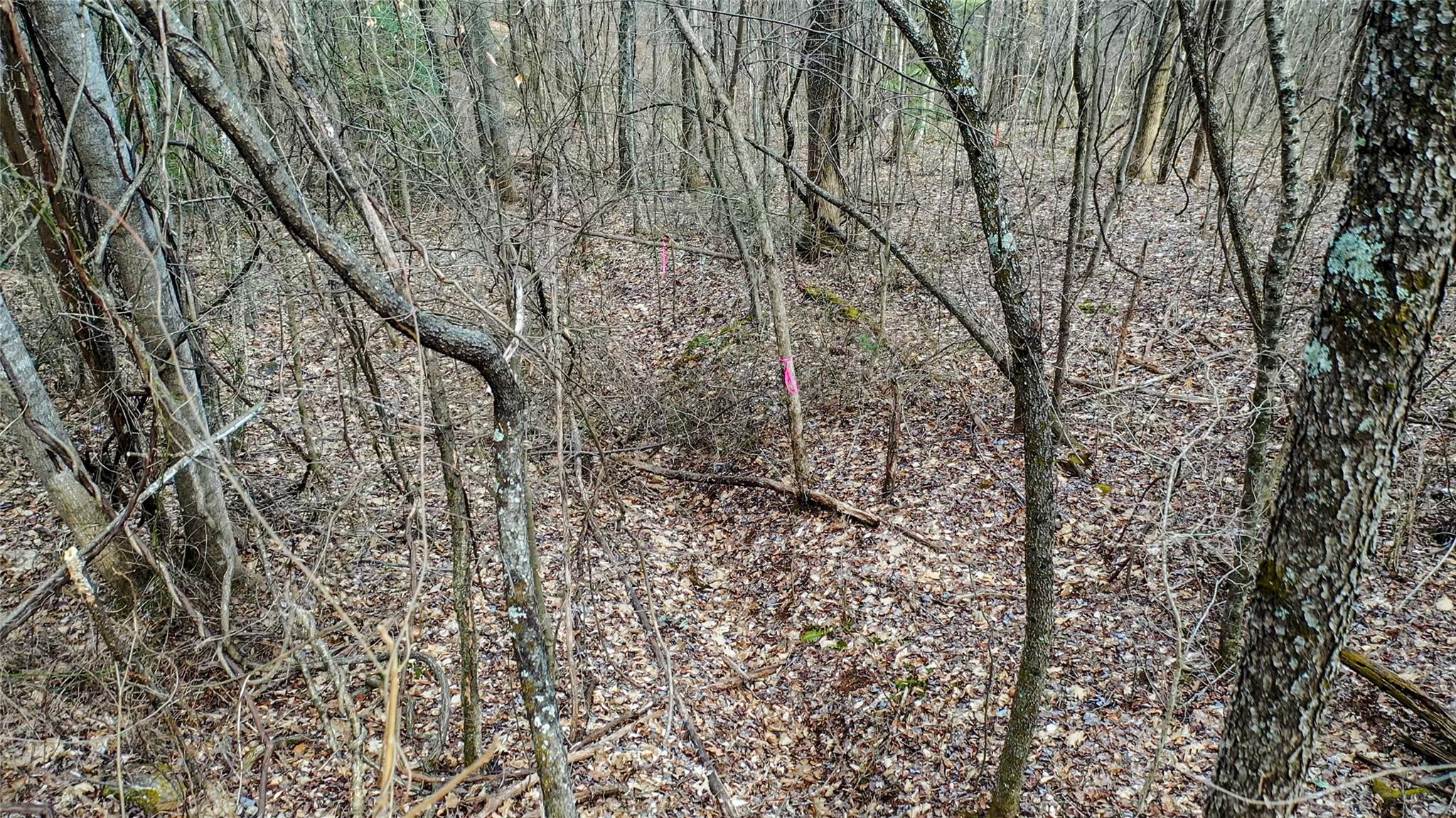 The Woodlands of Swannanoa - Land