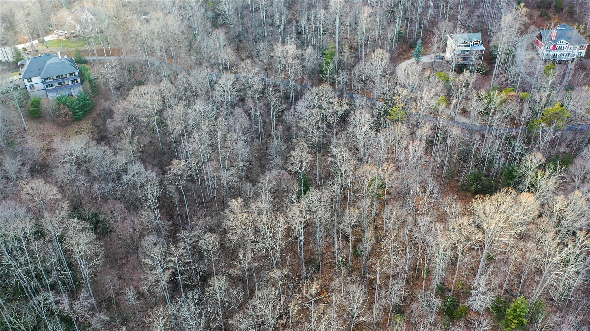 The Woodlands of Swannanoa - Land