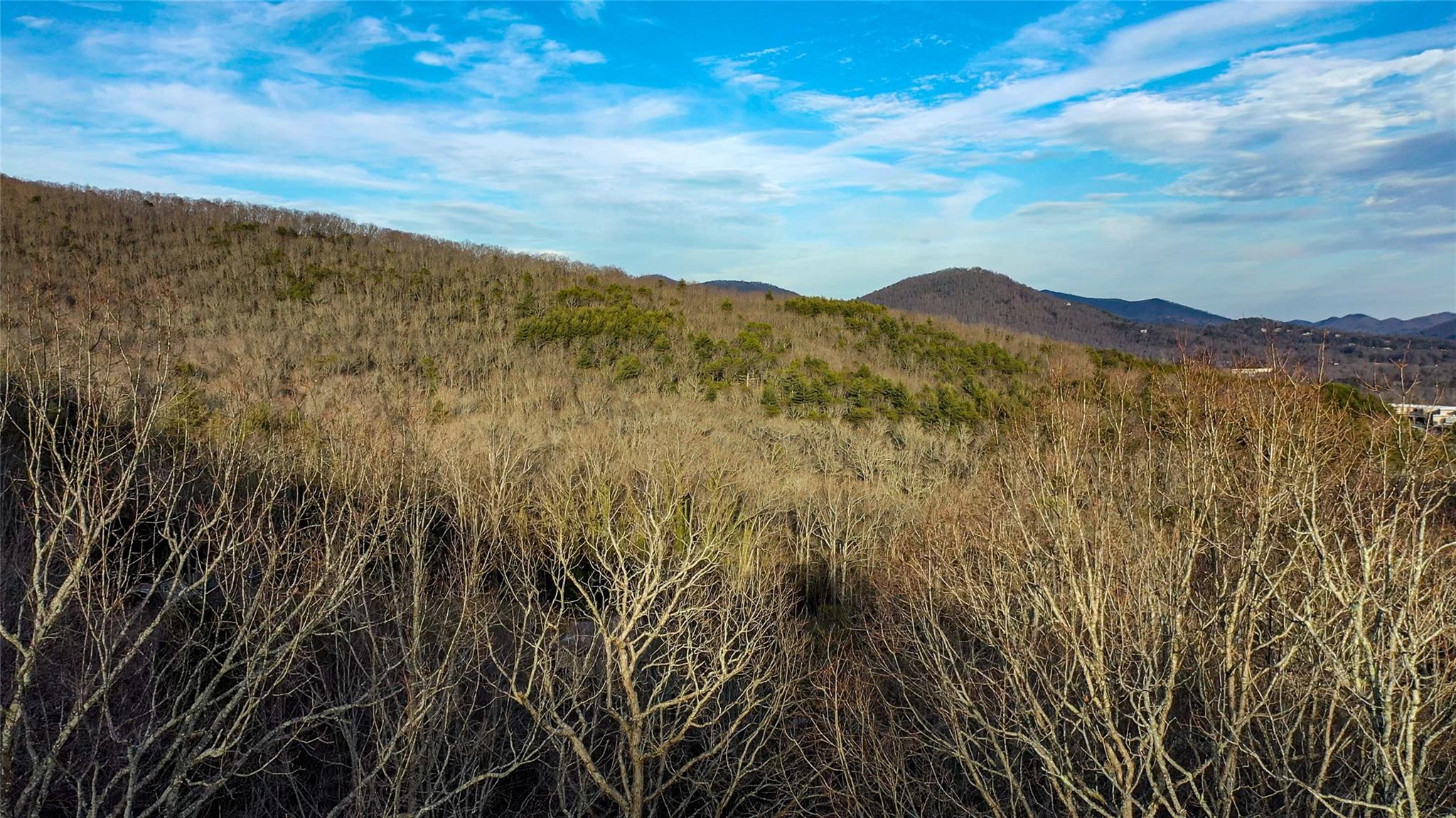 The Woodlands of Swannanoa - Land