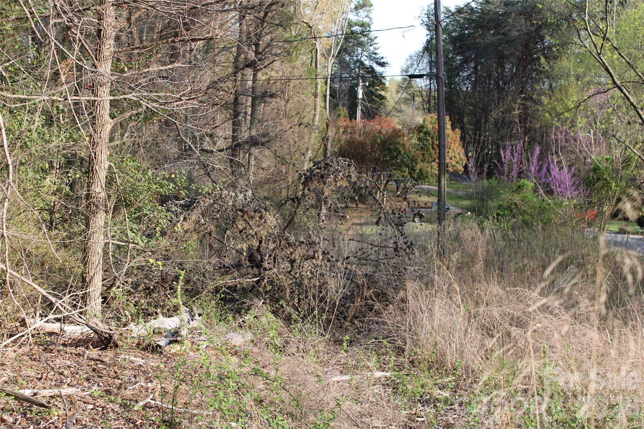 Caldwell Acres - Land