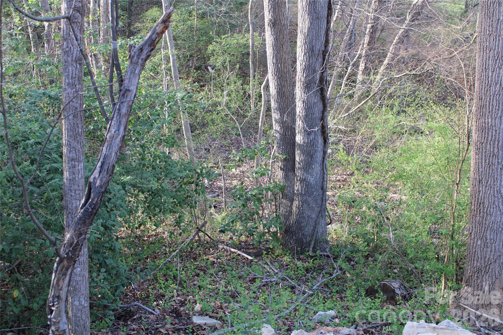Caldwell Acres - Land