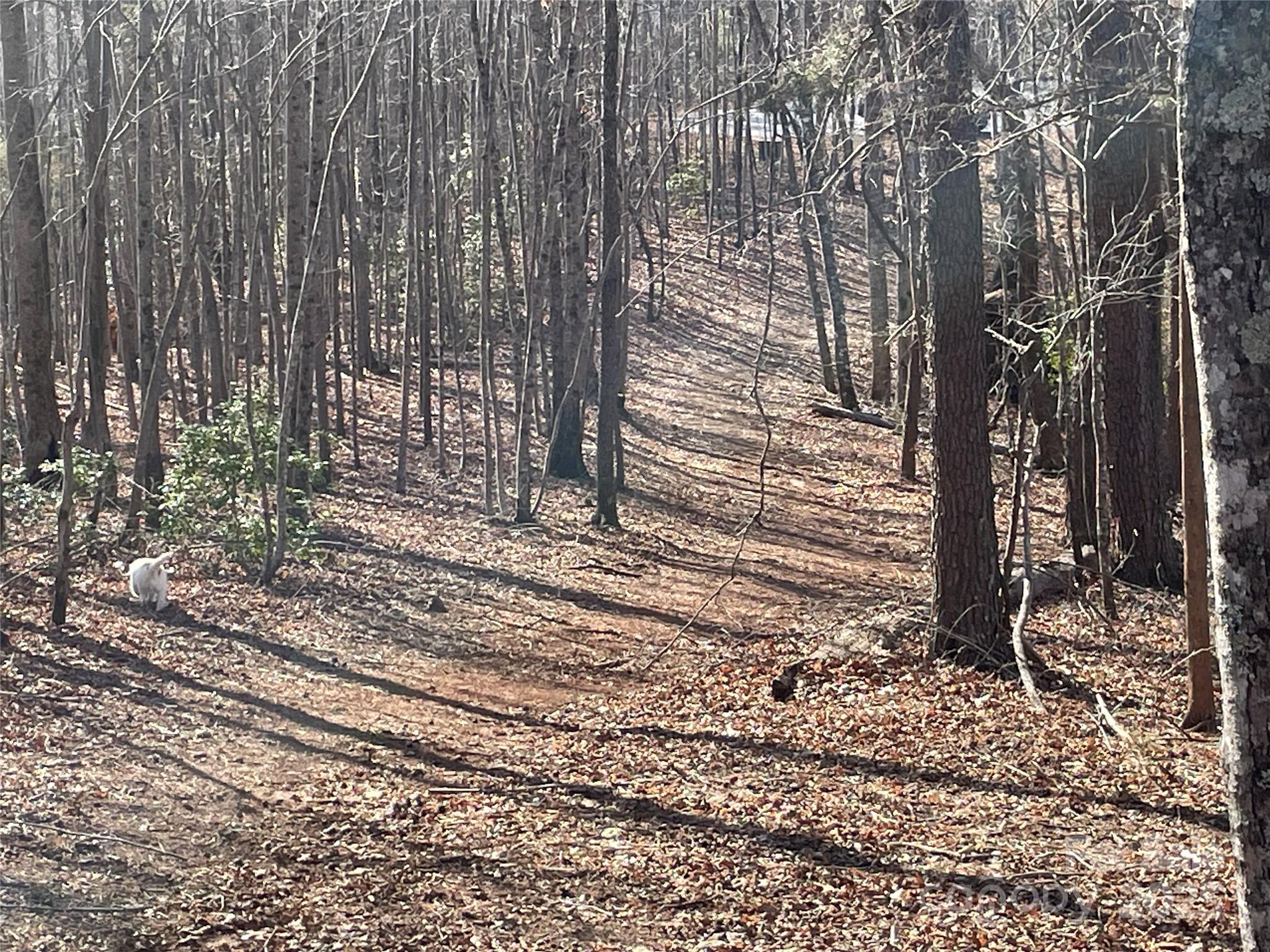 TBD S Cross Creek Trail