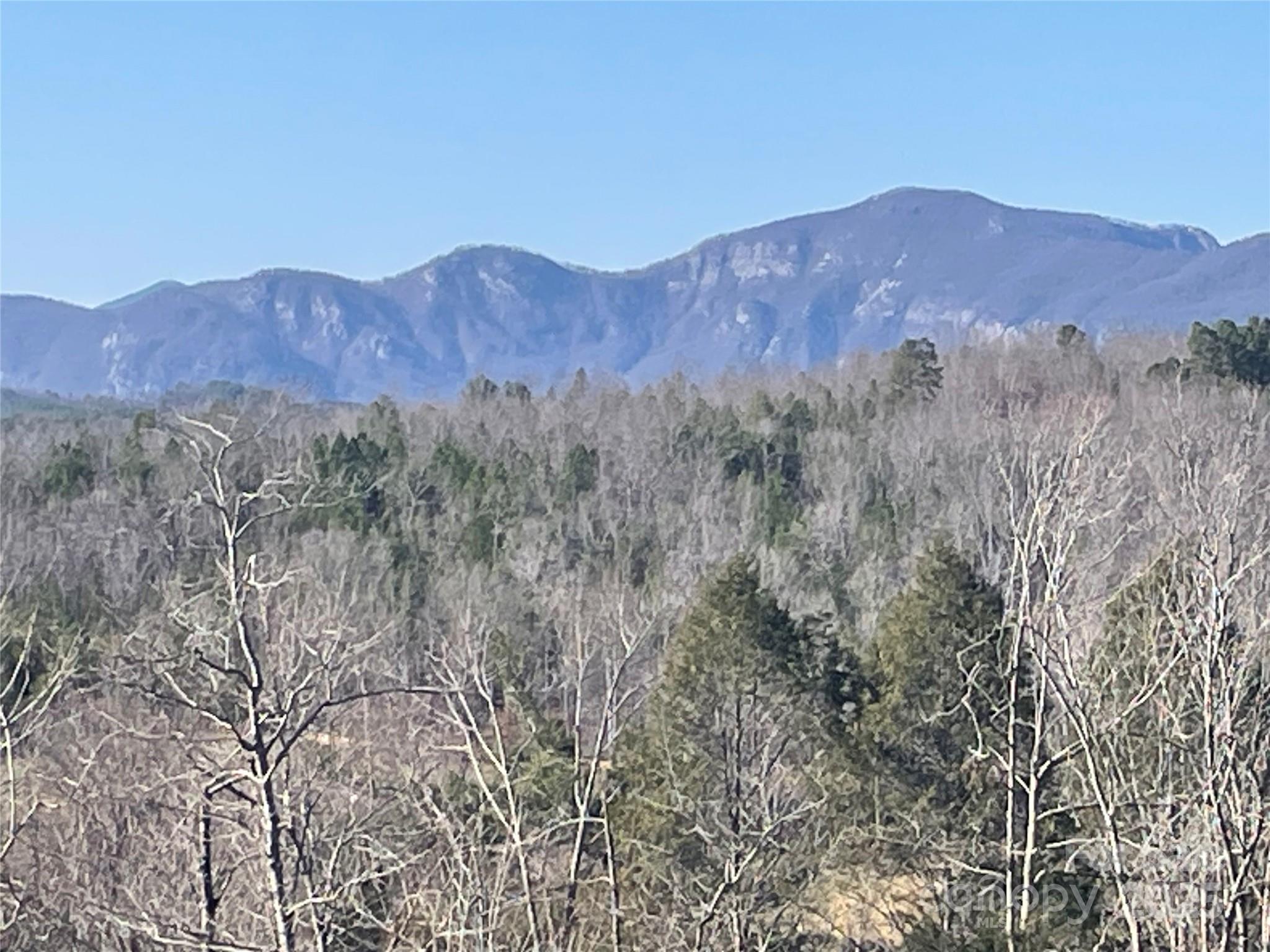 Mountain Laurel Estates - Land