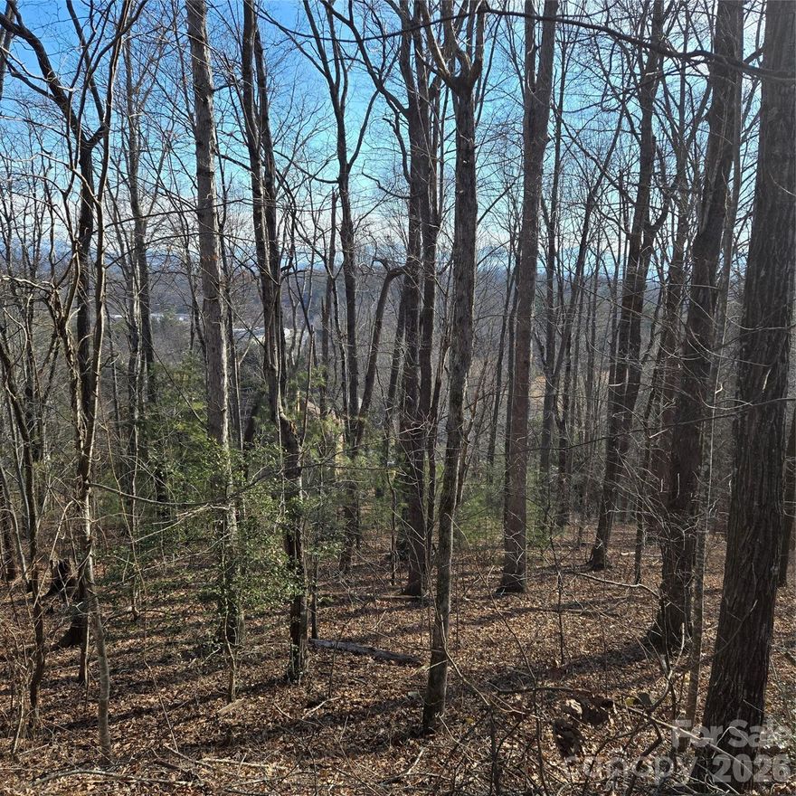 AWESOME LOT IN HIGH VISTA! Enjoy elevated mountain living in the gated, well-appointed community of High Vista! This gorgeous, gently sloping lot is one the few remaining 'phase 1' sites in the development and only seconds from the main gate in a well established cul-de-sac.  Situated between Asheville and Hendersonville, this High Vista lot offers partial mountain views, especially during the winter. More pictures to come soon! Separate POA membership to the clubhouse, pool, tennis courts, and pub. Golf is an optional separate membership.
