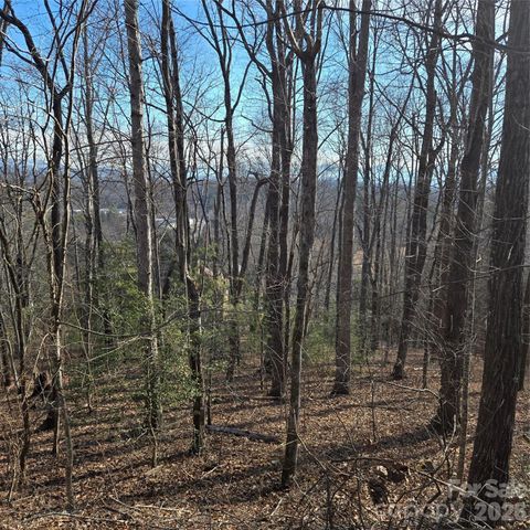 85 Shinnecock Drive 7 Mills River NC 28759