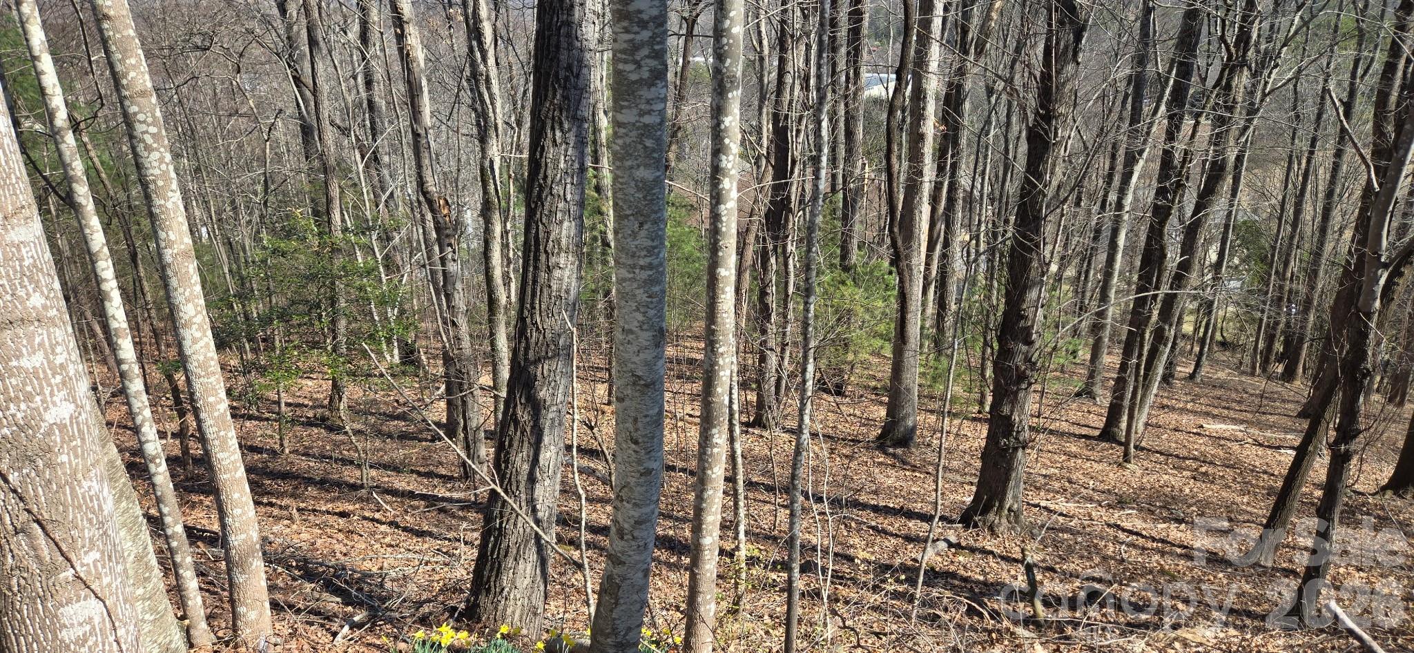 85 Shinnecock Drive 7