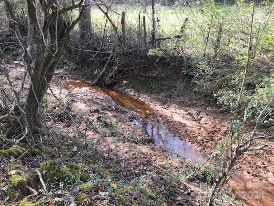 Great, level building site in the gated community of Clearwater Creek near Rutherfordton. 1.51 acre lot with a creek on the back side. Community includes a commons area and paved roads. Build your dream home here and feel like you are out in the country but only minutes from Rutherfordton and 1 hour from Charlotte and Asheville.