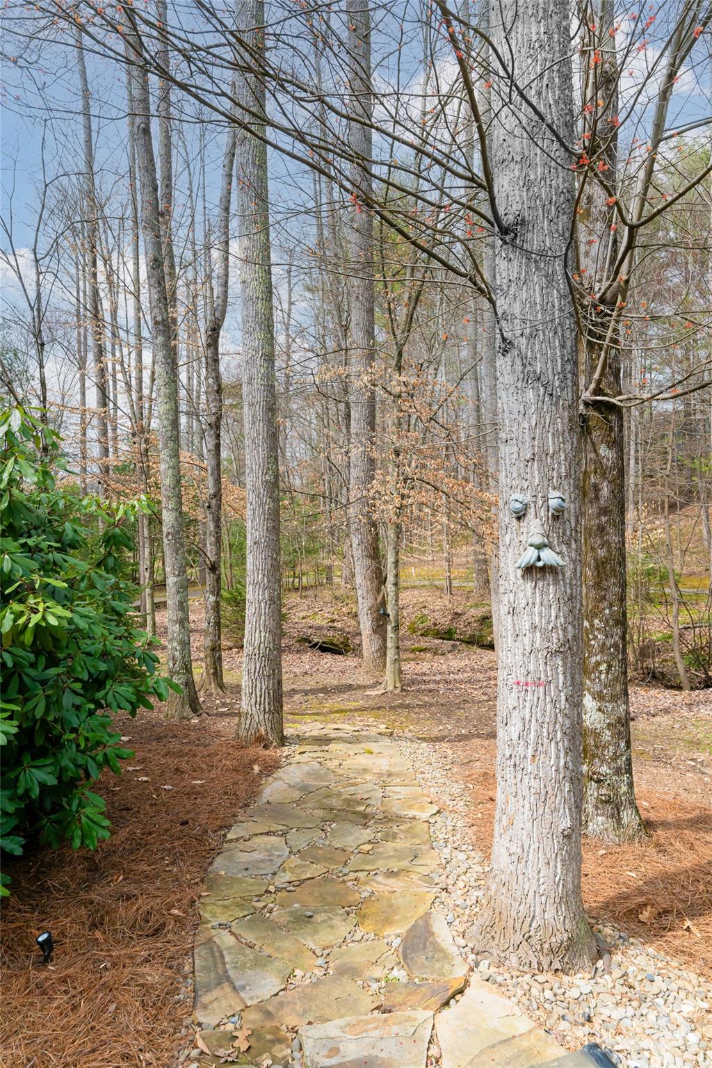 Biltmore Lake - Residential