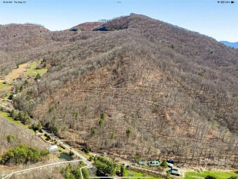 2900 Puncheon Fork Road Mars Hill NC 28754