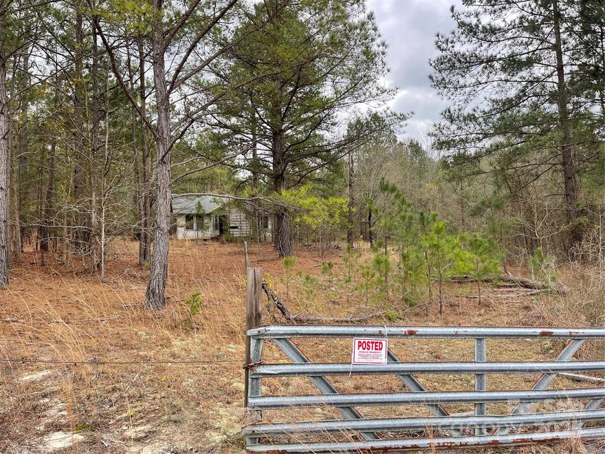 12.7 acres with many mature hardwood trees, level property for building your dream home. 

Just minutes from the town of Kershaw and convenient to Camden, Bethune and beyond while maintaining privacy in a beautiful rural setting. Possibilities for this parcel include building your dream home and/or starting a farm to bring this property back to life! 

Contact me today for more information and schedule a showing.