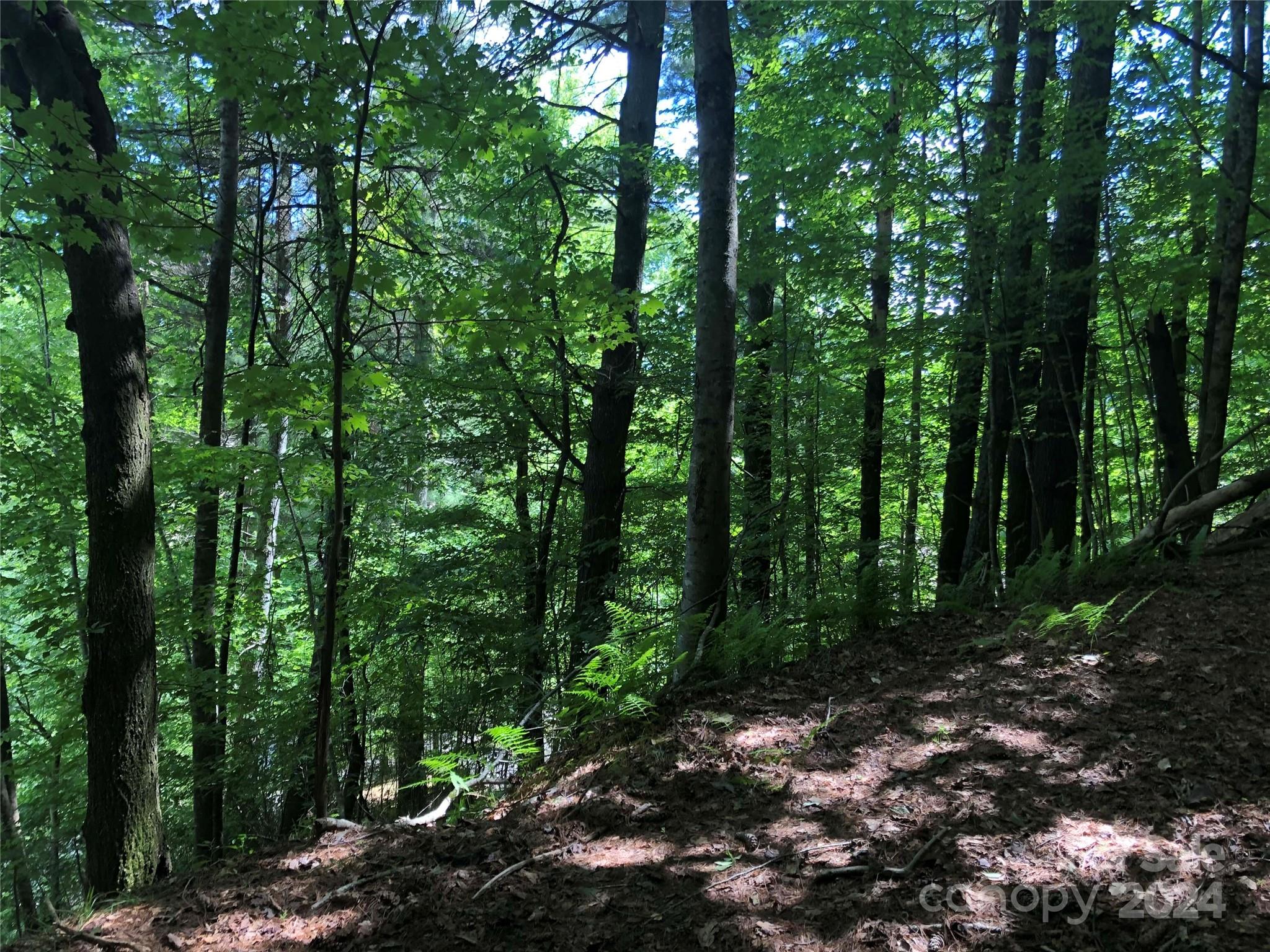 000 N Blue Ridge Parkway E 167