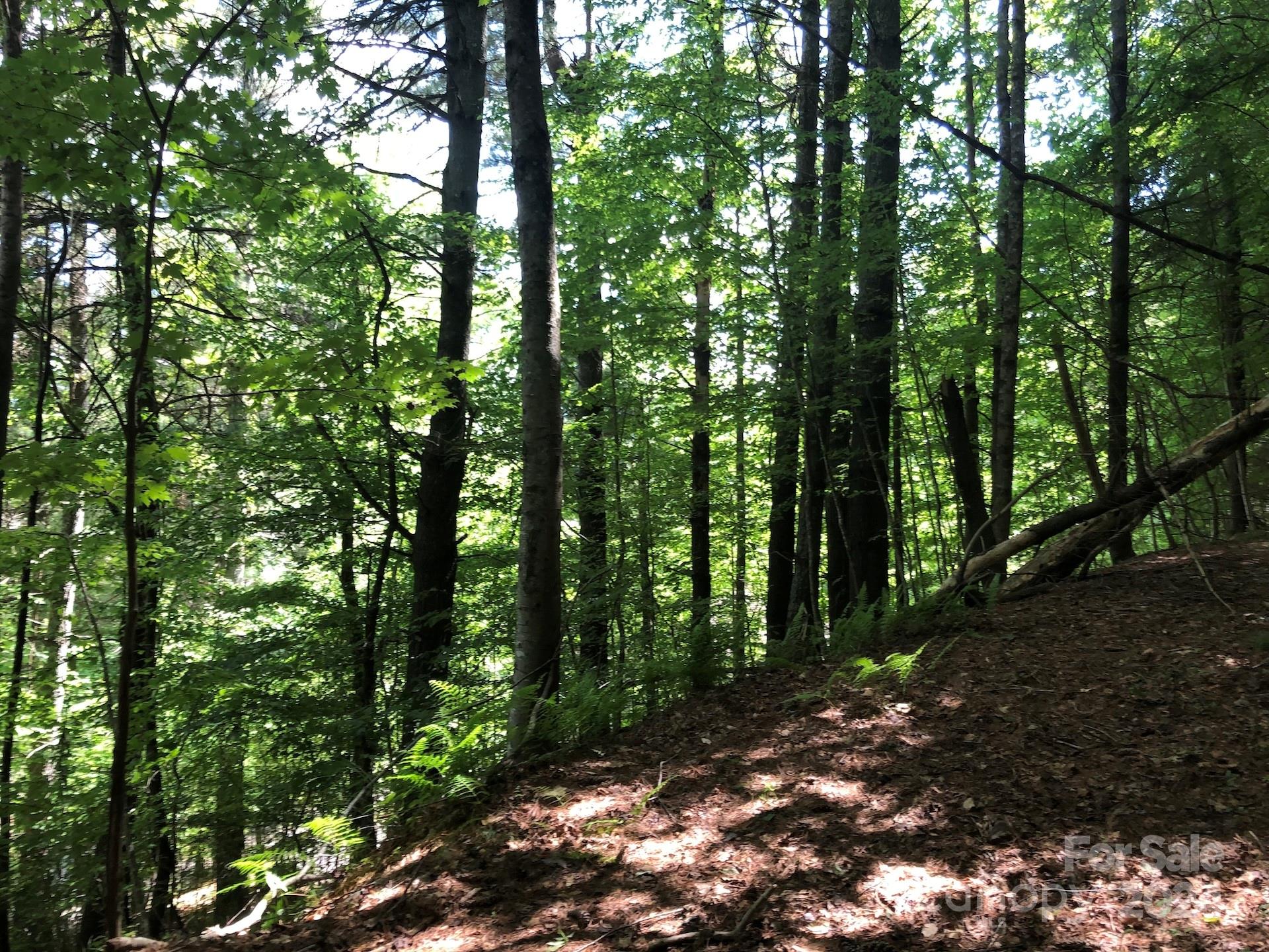 000 N Blue Ridge Parkway E 167