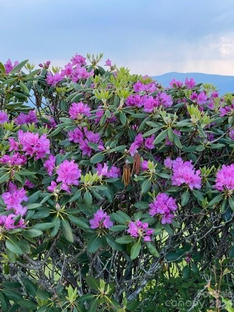 Ogle Meadows - Residential