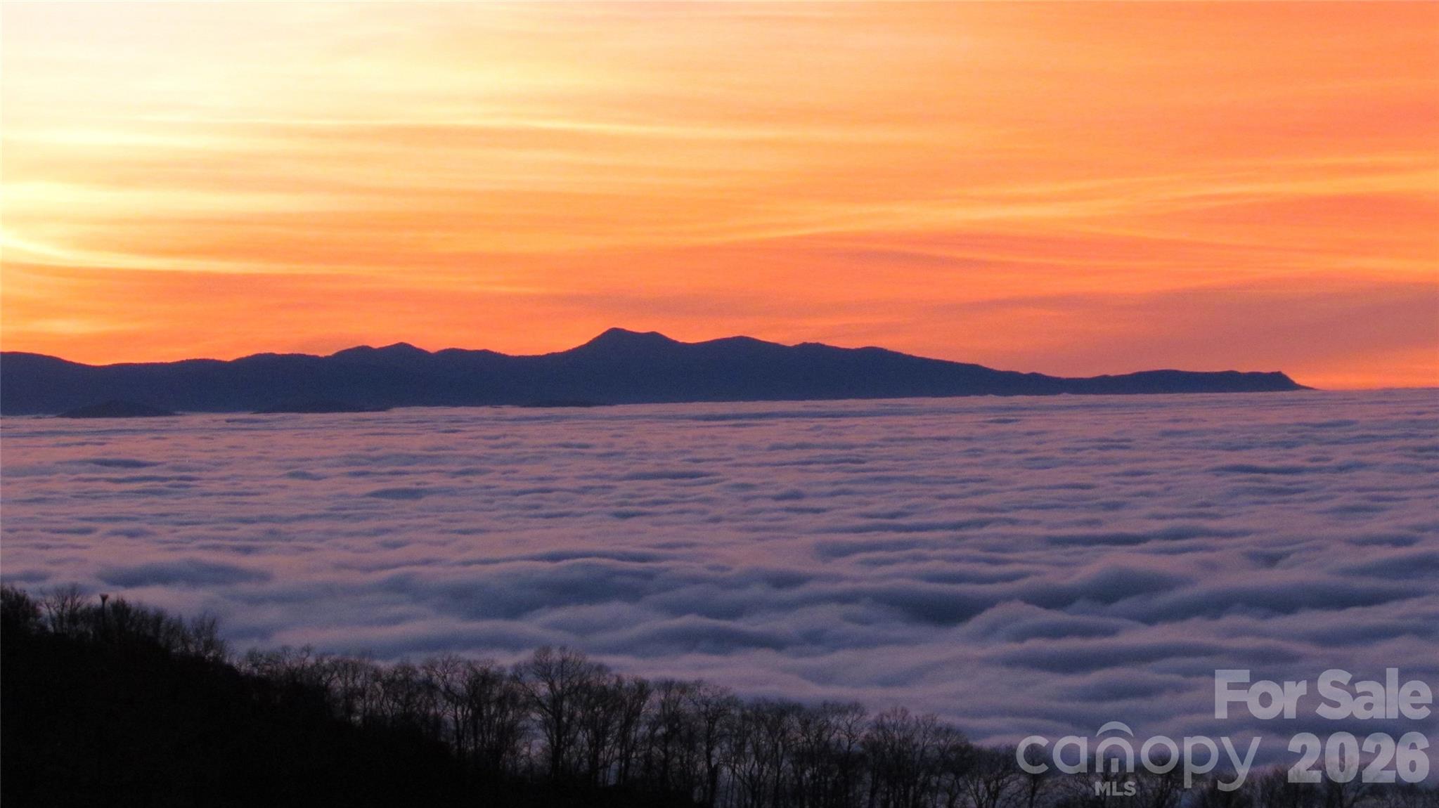 Ogle Meadows - Residential