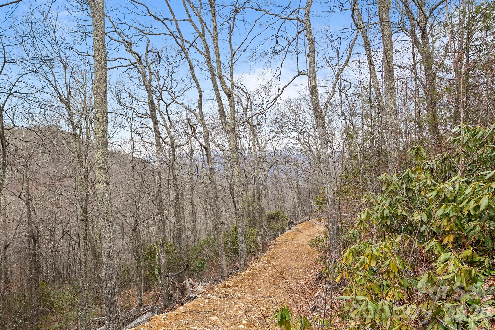 1480 Odalu Trail