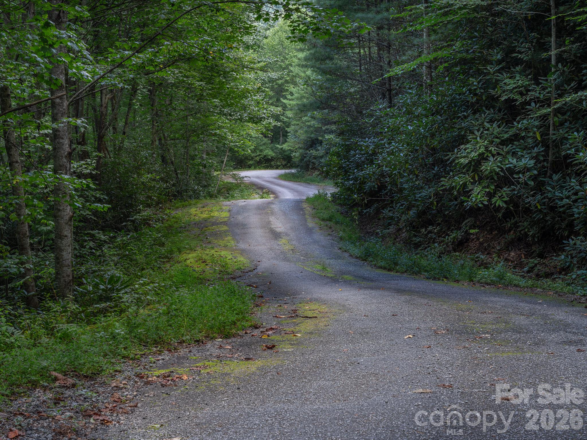 Lot 7 W Chestnut Ridges Road 7