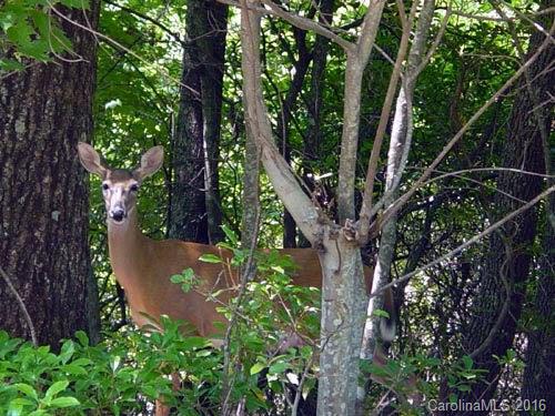Connestee Falls - Residential