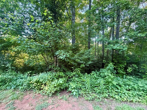 Photo of 1221 Shirebourn, Hickory, NC 28602 (MLS # 4426442)