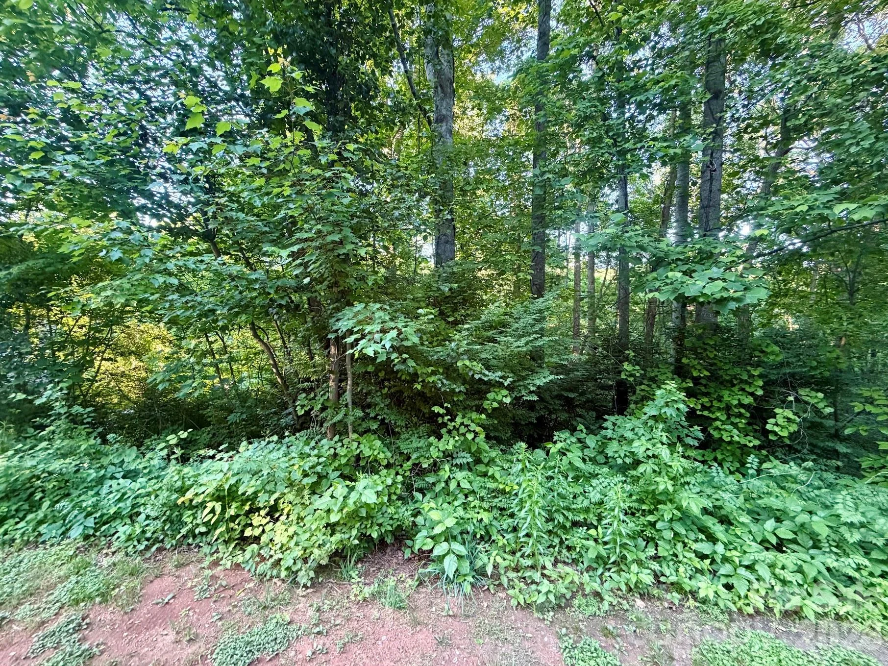 1221 Shirebourn, Hickory, NC, 28602