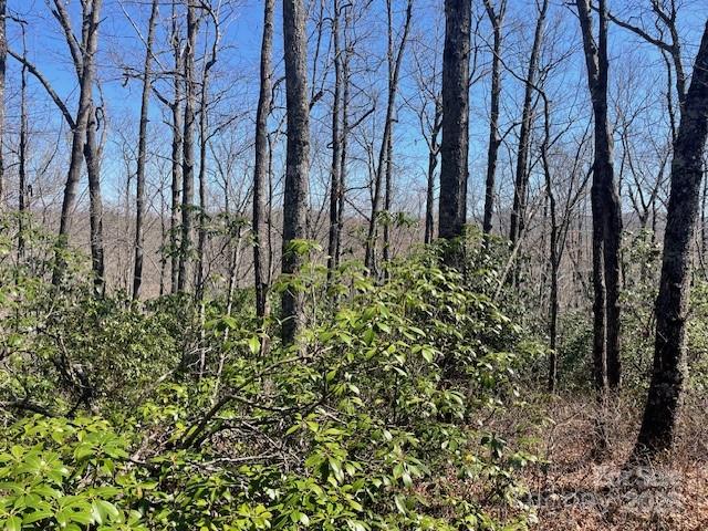 TBD Girl Scout Camp Road