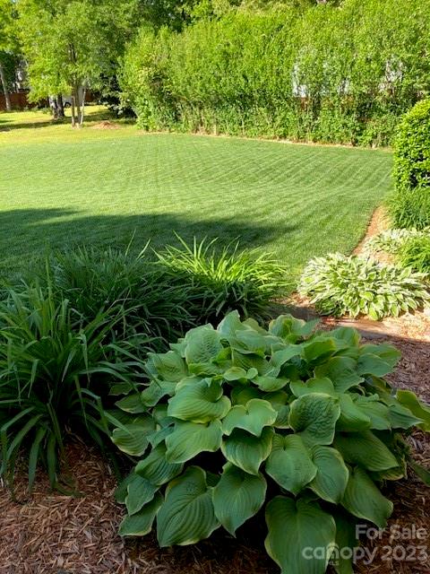 Hermitage Place - Residential