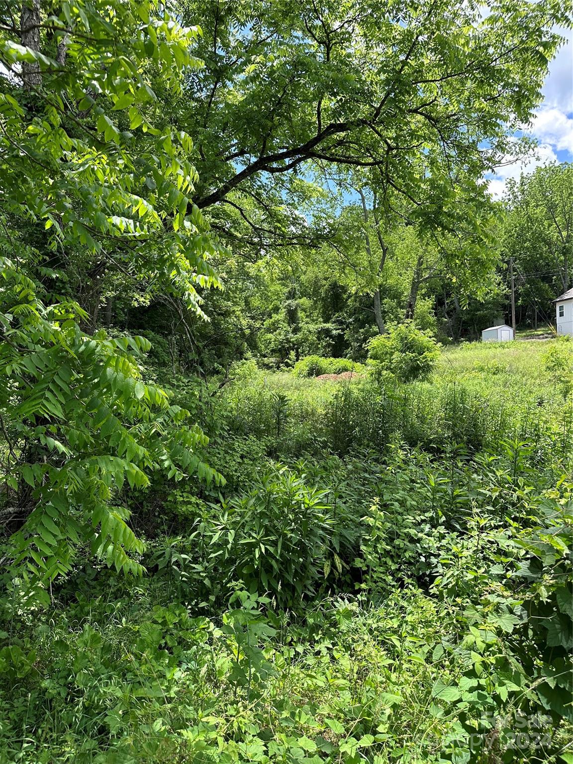 109 Round Table Trail 7